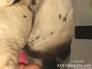 Outdoor fuck fest with a Latina and her kinky dog