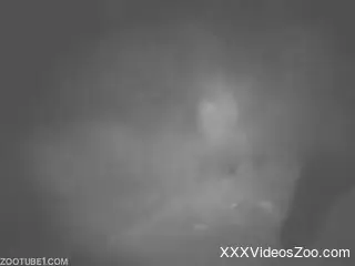 Sexy nude scenes when a man gets anal fucked by the bull