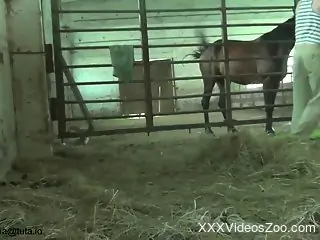 Young pasty slut bottoms for a big-dicked horse