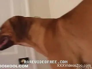 Masked blonde getting ravaged by a kinky doggo