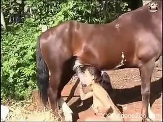 Hard anal sex with a Latina and a big-dicked horse