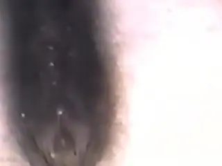 Dude fucking a mare's pussy in a passionate porn vid