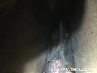 Dude fucking a brown mare's hot pussy from behind