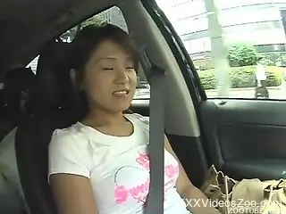 Wonderful bestiality with all kinds of kinky Asian babes