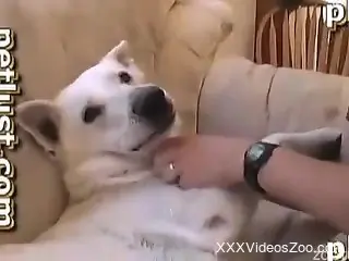Chunky dude with a goatee bottoms for his gay dog