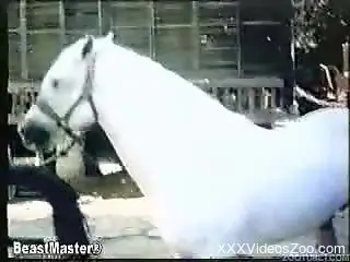 Outdoor banging scene with a bunch of retro zoophiles