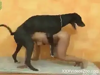 Rough doggy style fucking with a tanned Latina