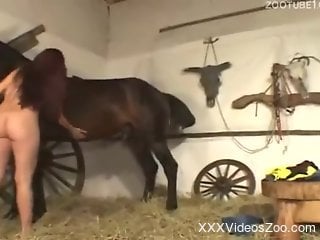 Hard sex video with a redheaded babe and a stallion