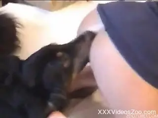 Busty bitch getting fucked on all fours by a dog