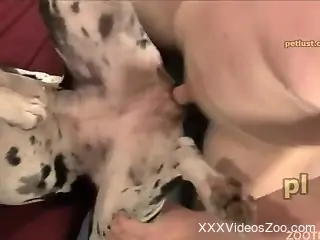 Dude eating his dog's pussy before fucking it deep