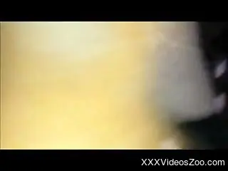 Hot hoe gets fucked with her pants pulled down