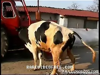 Sexy cow gets fist-fucked by a frenzied zoophile