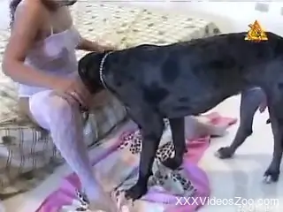 Wonderful bestiality porn with cunnilingus and hot sex