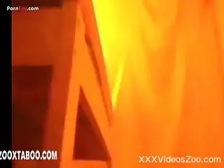 Young and playful brunette gets licked by two dogs