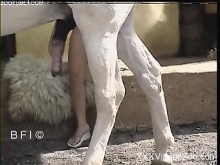 White stallion gets its dick sucked by a gorgeous teen