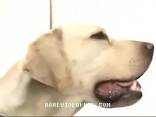 Redheaded Japanese beauty enjoys first-time bestiality