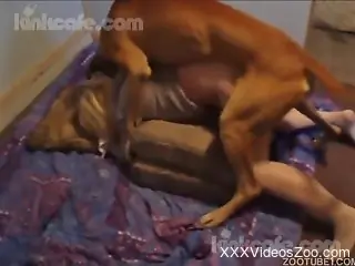 Big butt blonde is about to get ruined by a dog