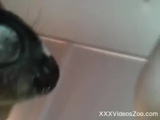 Dog's dick makes the tight woman to feel perfect