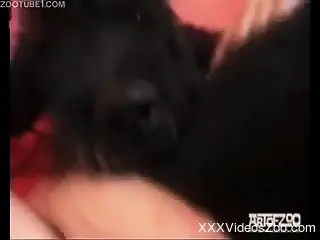 Nude woman welcomes the dog for a few sex rounds