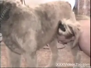 Hot mature woman licked and fucked in the pussy by the dog
