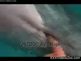 man finger fucks dolphin in kinky marine zoo cam play