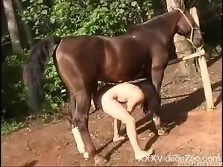 Amateur slut loads her fanny with a giant horse dong