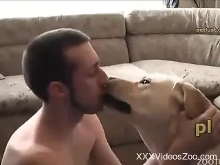 Gay lover shares his lust for porn with the dog