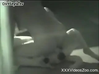 Drunk blonde decides to ride her dog's cock for the cam