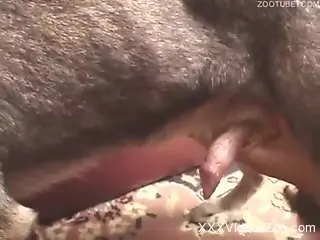Horny chicks take turns getting fucked by beasts