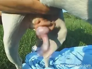 Blond-haired babe gets fucked with legs spread wide