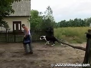Butch bitch getting banged by a hung dog in a zoo vid