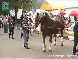 Sexy stallion showcasing its cock in an public video