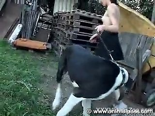 Skinny brunette getting banged by a dog dick