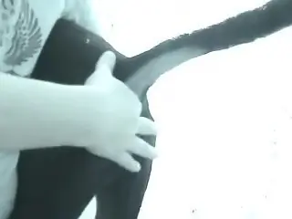 Dude exposing an animal's hole and fingering it