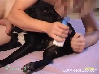 Well-endowed guy fucks h is beast into submission