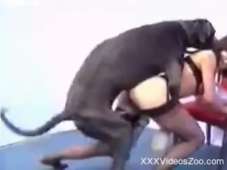 Horny women in fancy lingerie enjoying hardcore sex