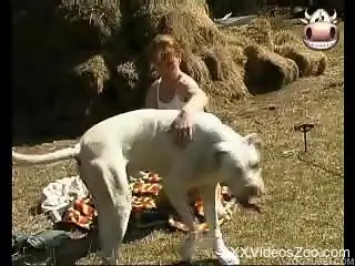 Hairy cunt zoophile riding a dog's dick while outdoors