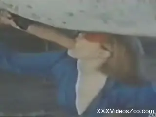Vintage horse blowjob video with a kinky zoophile
