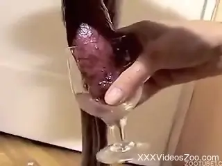 Nude babe drinks dog sperm after a few rounds of zoo sex