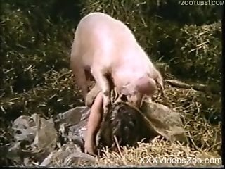 Fine ladies share animal cocks in spicy compilation