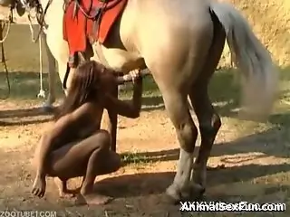 Aroused Latina chick handles a monster horse cock like a pro
