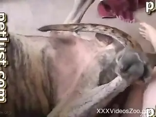 Aroused woman loves the feeling of such dog dick in her cunt