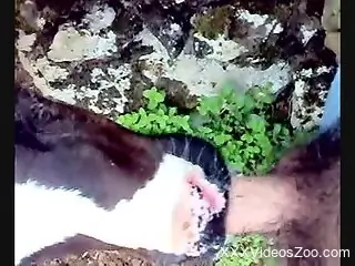 Dude's hairy cock dominates a sexy animal here