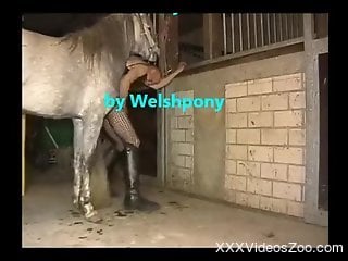 Welsh horse fucker getting his asshole decimated