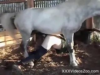 Butt fuck session with a stunning zoophile dude