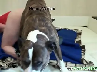 Bleeding pussy babe getting fucked on all fours