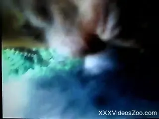 Dude dominates an animal's hot hole from behind