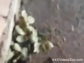 Yummy animal hole getting screwed in a violent porno movi