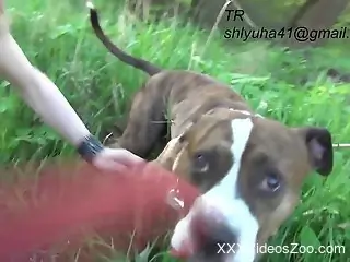 Drunk Russian bitch getting freaky with an animal