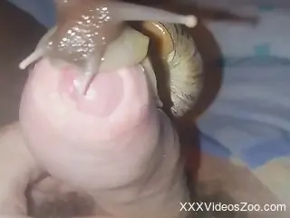 Snail showing its submissive side in a hot video
